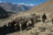 Trekking-Pamir-Highway